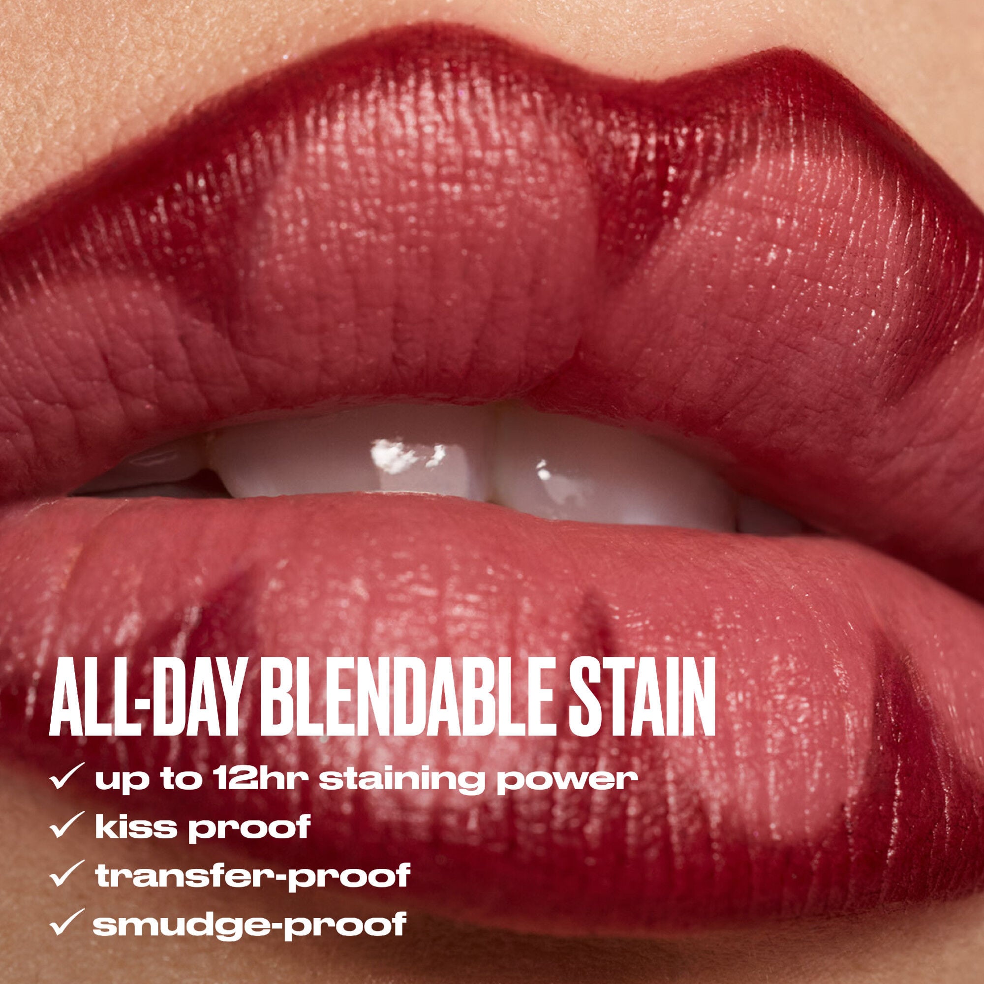 Lip Toy Staining Brush Lip Liner