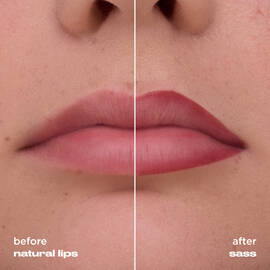 Lip Toy Staining Brush Lip Liner