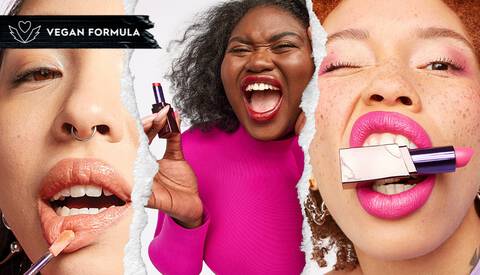 THE VICE LIP FAMILY